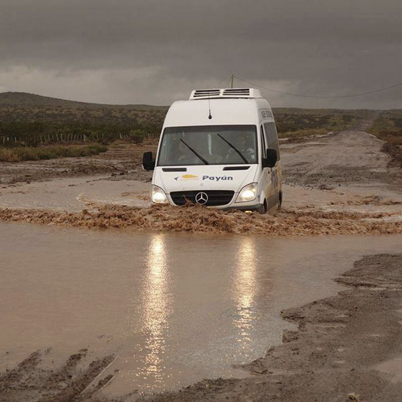 Servicios 4x4 - Expreso Payún