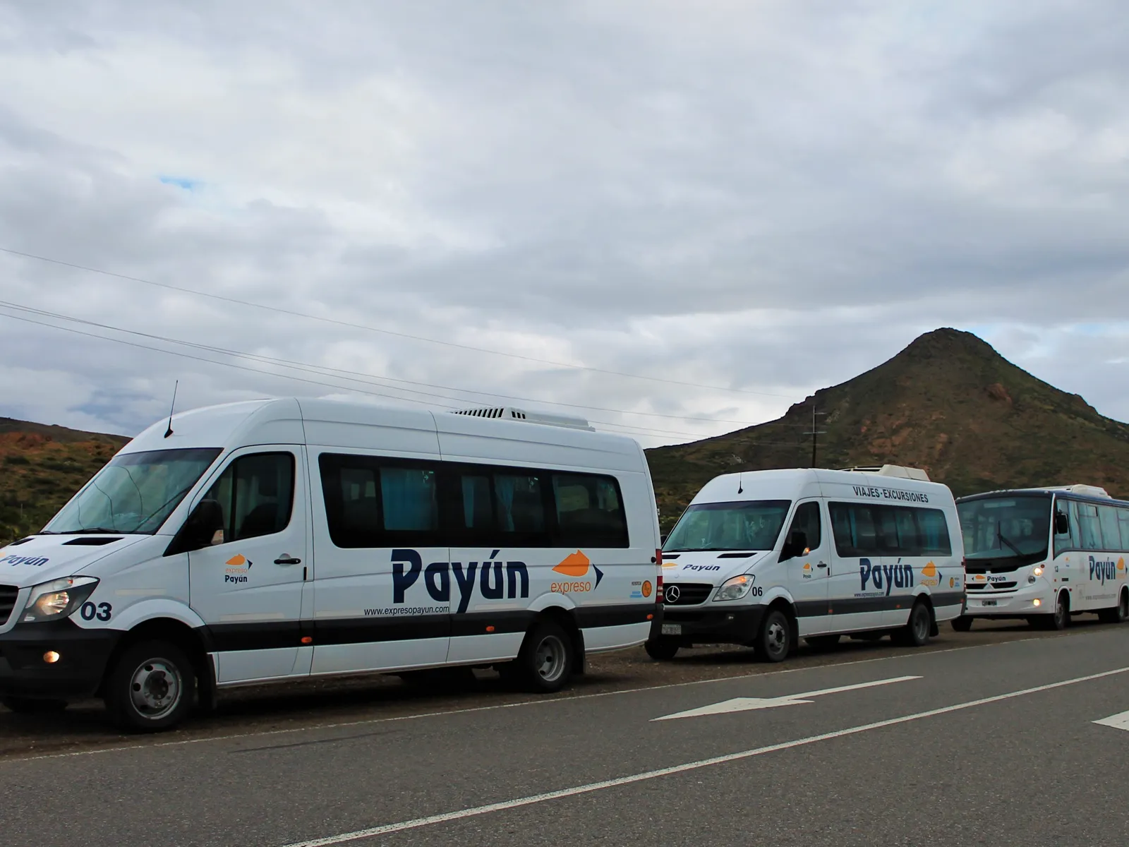 Unidades de Expreso Payún para distintos servicios de transporte